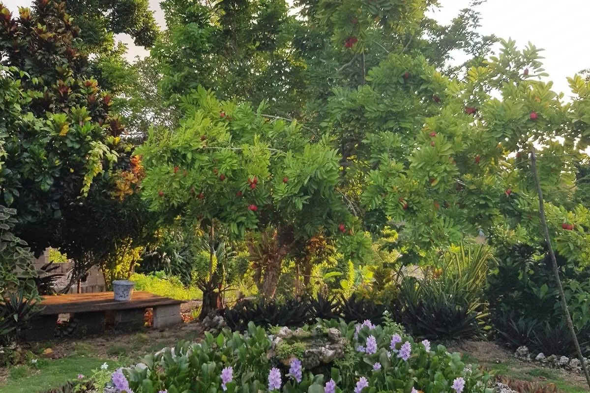 Private Hilltop - Garden Apartment - Orange Bay