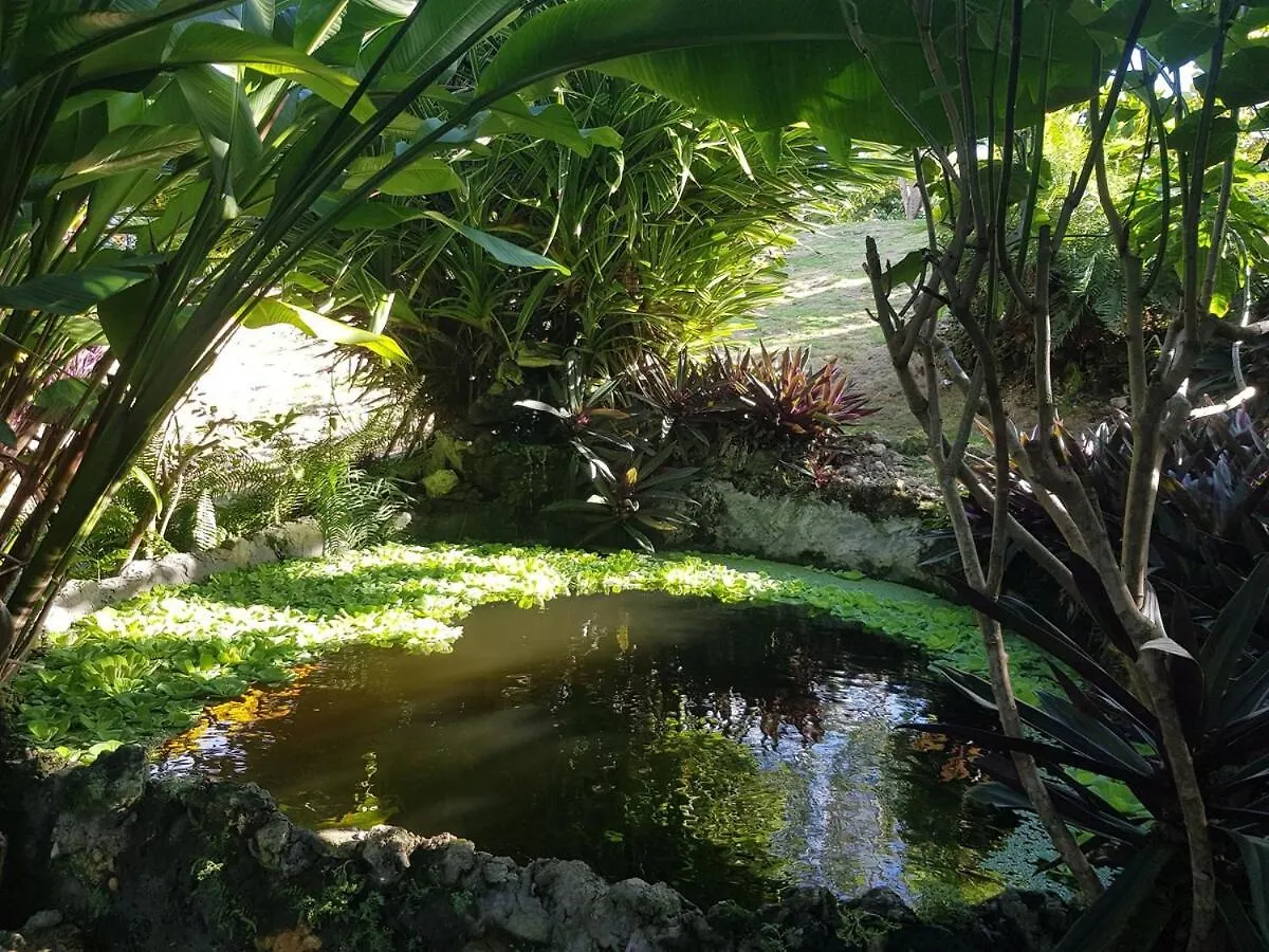 Private Hilltop - Garden Apartment - Orange Bay Jamaica