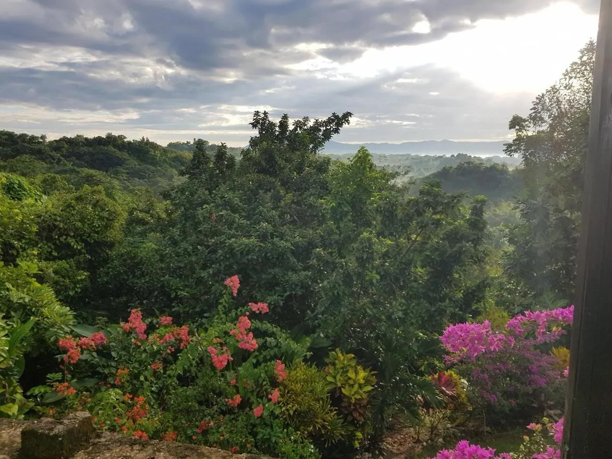 Private Hilltop - Garden Apartment - Orange Bay