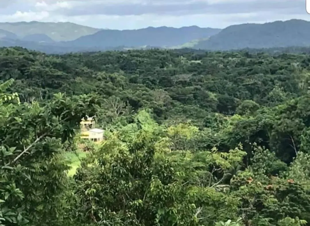 Private Hilltop - Garden Apartment - Orange Bay 0*,