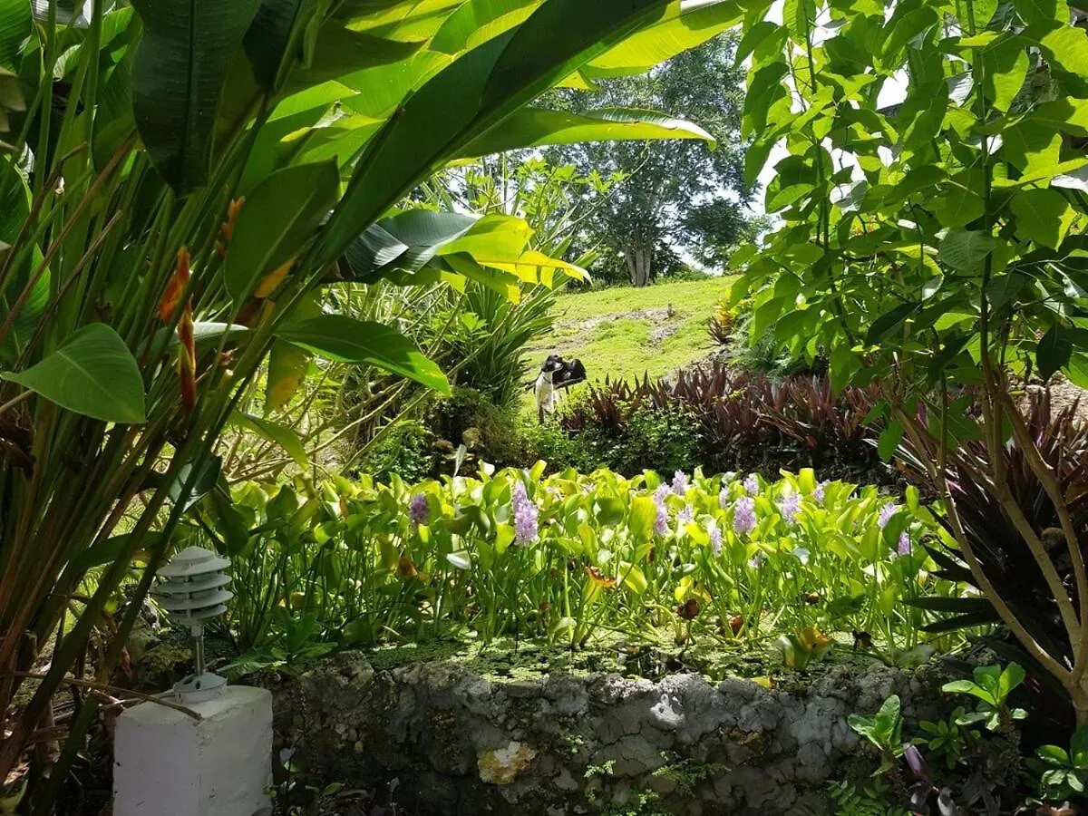 Private Hilltop - Garden Apartment - Orange Bay