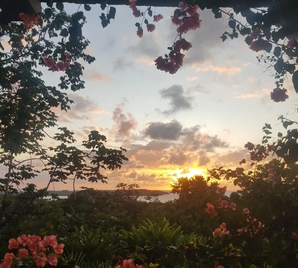 Private Hilltop - Garden Apartment - Orange Bay 牙买加