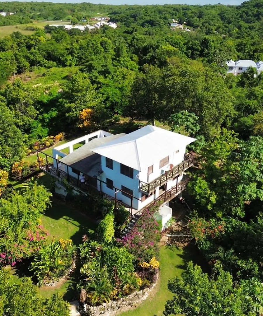 Private Hilltop - Garden Apartment - Orange Bay 0*,  牙买加